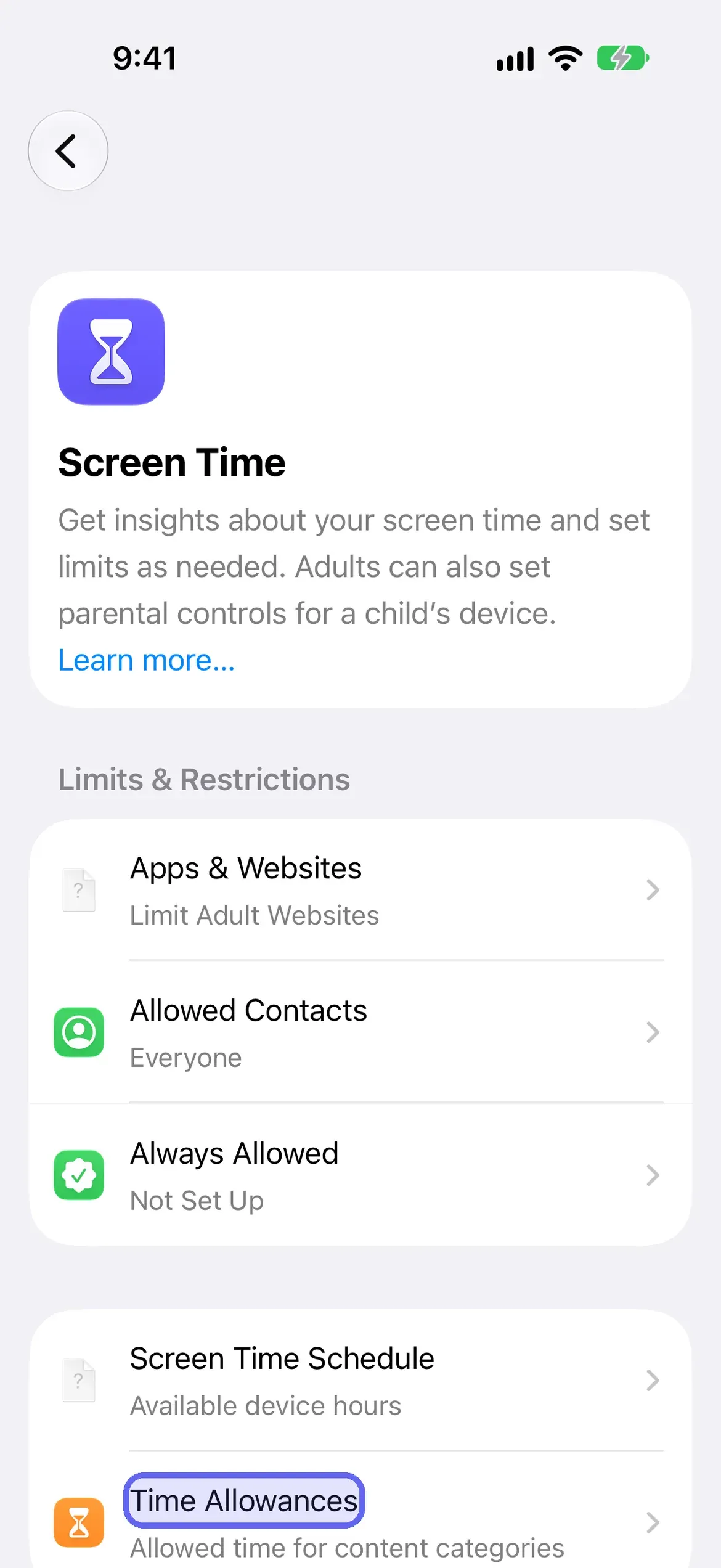 The Time Allowances row highlighted on the Screen Time screen