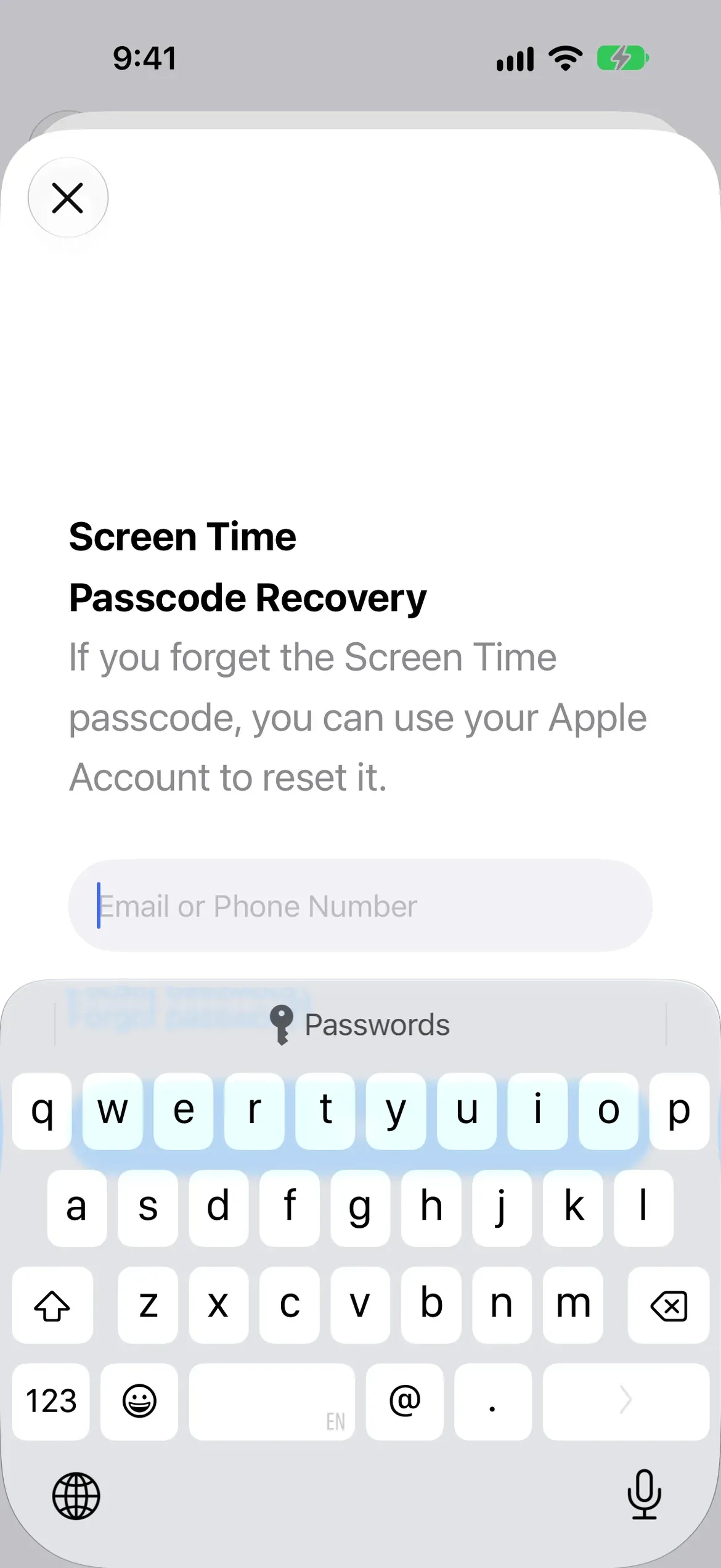The Are you sure prompt, offering Skip or Provide Apple Account for passcode recovery